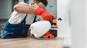 Best Residential Pest Control  in Brookside, AL